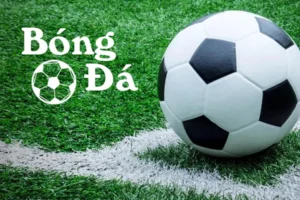 Bóng Trong Cuộc Và Bóng Ngoài Cuộc Theo Luật Mới Nhất