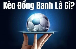 Kinh Nghiệm Và Cách Chơi Kèo Đồng Banh Chắc Thắng Cho Nhà Đầu Tư