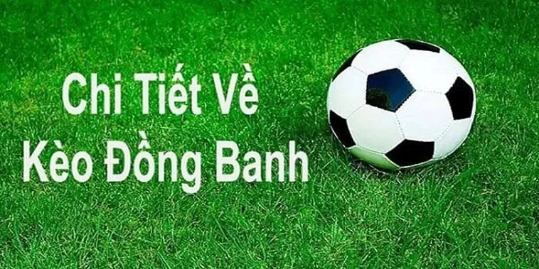 Kinh Nghiệm Và Cách Chơi Kèo Đồng Banh Chắc Thắng Cho Nhà Đầu Tư
